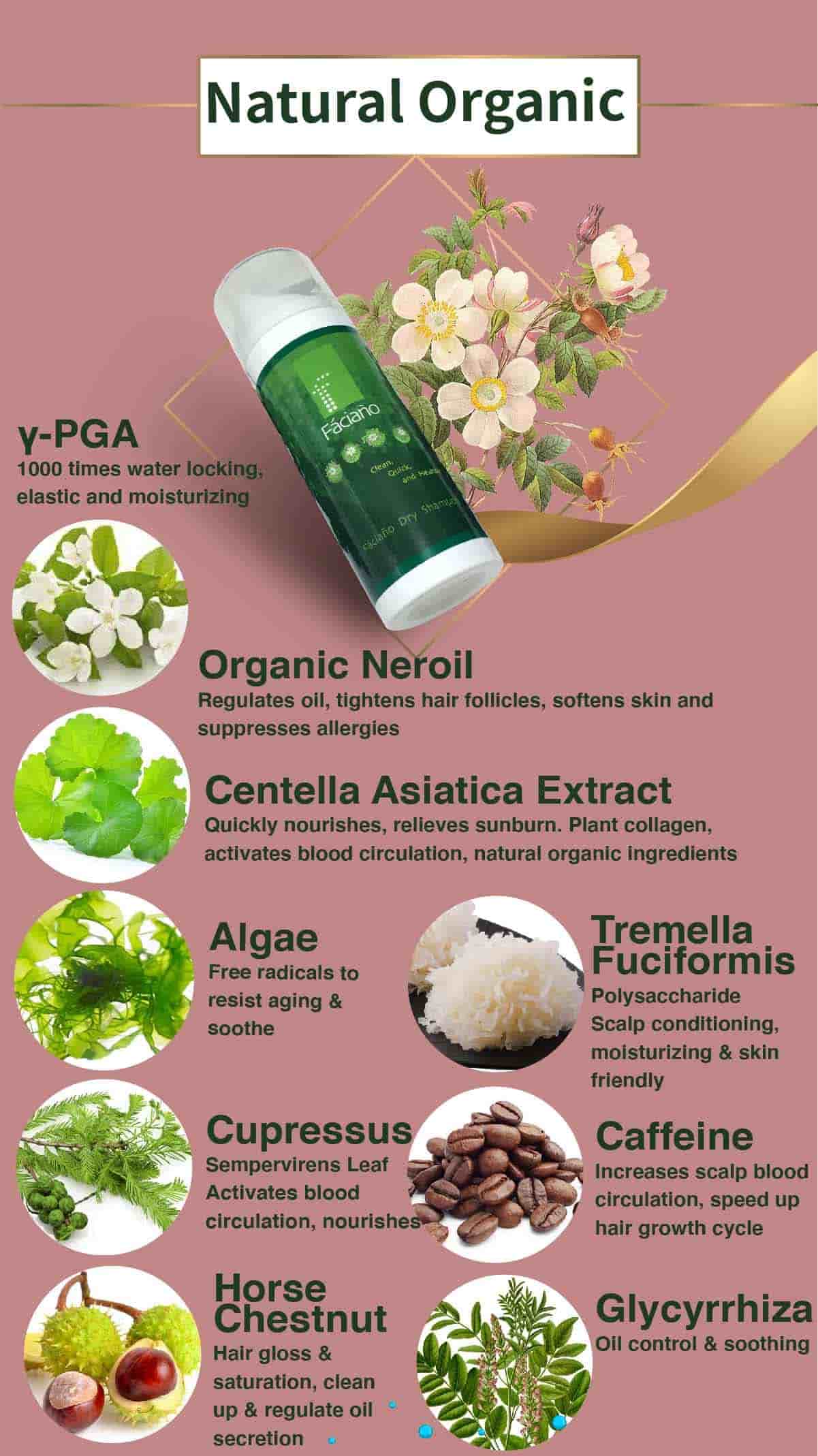 Dry Shampoo Ingredients